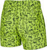 Swim shorts  Aqua Spedd Finn Shells - green 