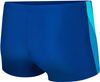 Men's swimming shorts Aqua Speed Logan 423 - blue